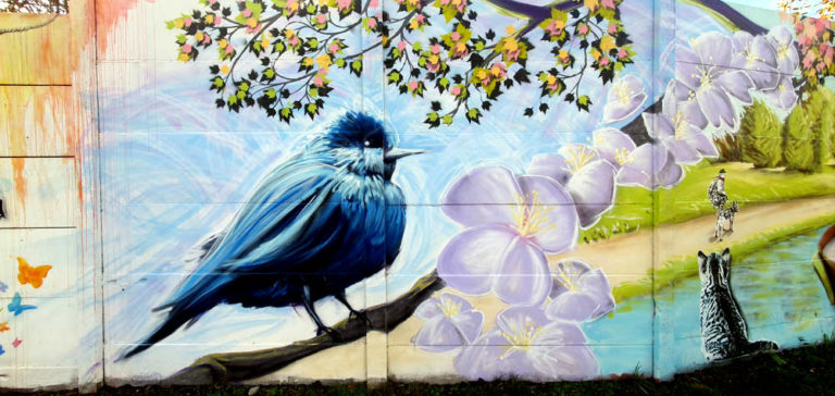 Lire la suite à propos de l’article C&rsquo;est le printemps !